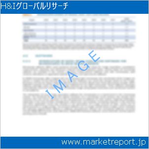 市場と産業調査レポートのイメージ